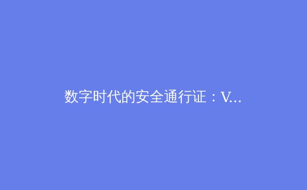 数字时代的安全通行证：VPN技术演进与未来趋势深度剖析 - 4