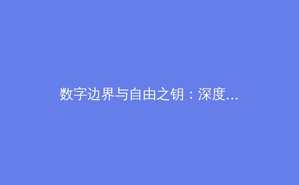 数字边界与自由之钥：深度解析VPN技术演进与未来资讯安全趋势 - 3