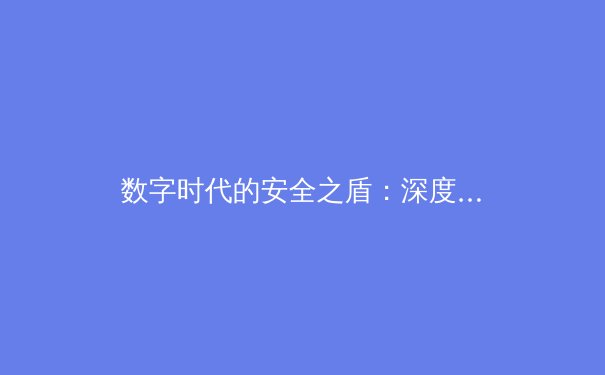 数字时代的安全之盾：深度解析VPN技术演进与未来趋势 - 4