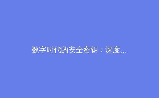 数字时代的安全密钥：深度解析VPN技术演进与未来趋势 - 4