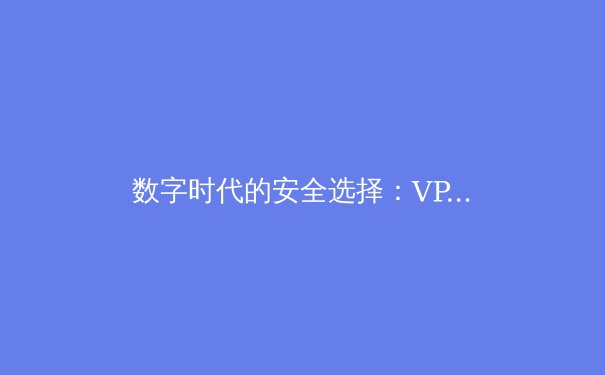数字时代的安全选择：VPN技术演进与全球网络隐私新趋势 - 4