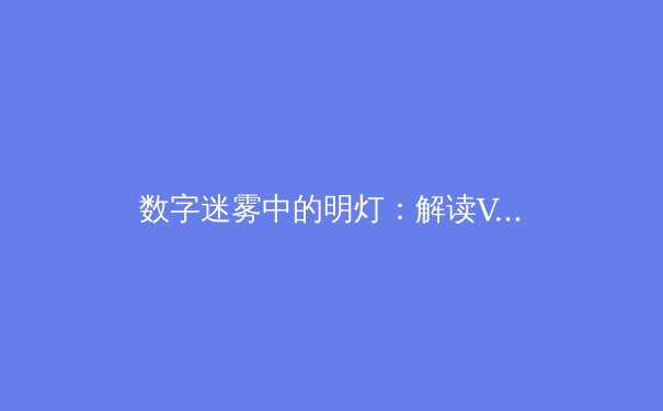 数字迷雾中的明灯：解读VPN行业动态与网络隐私的未来之路 - 3