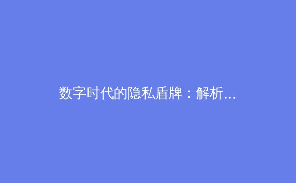 数字时代的隐私盾牌：解析VPN技术演进与未来趋势 - 2
