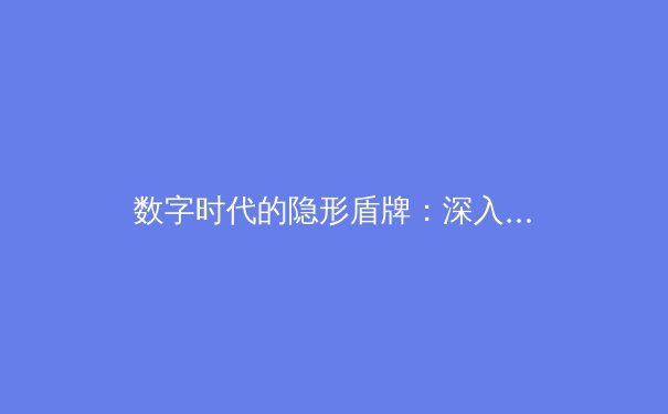 数字时代的隐形盾牌：深入解析现代VPN技术演进与隐私保护新范式 - 3