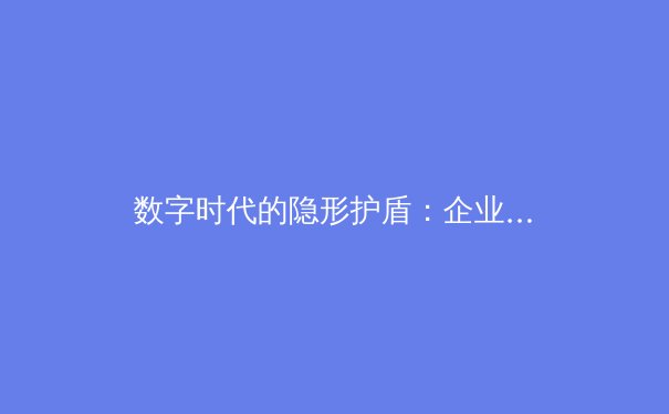 数字时代的隐形护盾：企业级VPN技术演进与安全应用深度解析 - 4