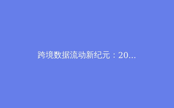 跨境数据流动新纪元：2024年全球VPN技术演进与合规化趋势深度解析 - 2